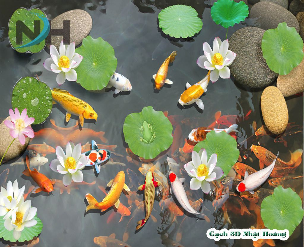 Koi Fish Video Wallpaper 3D  Ứng dụng trên Google Play